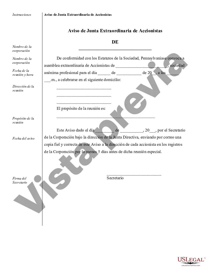 Preview Ejemplos de registros corporativos para una corporación profesional de Pensilvania