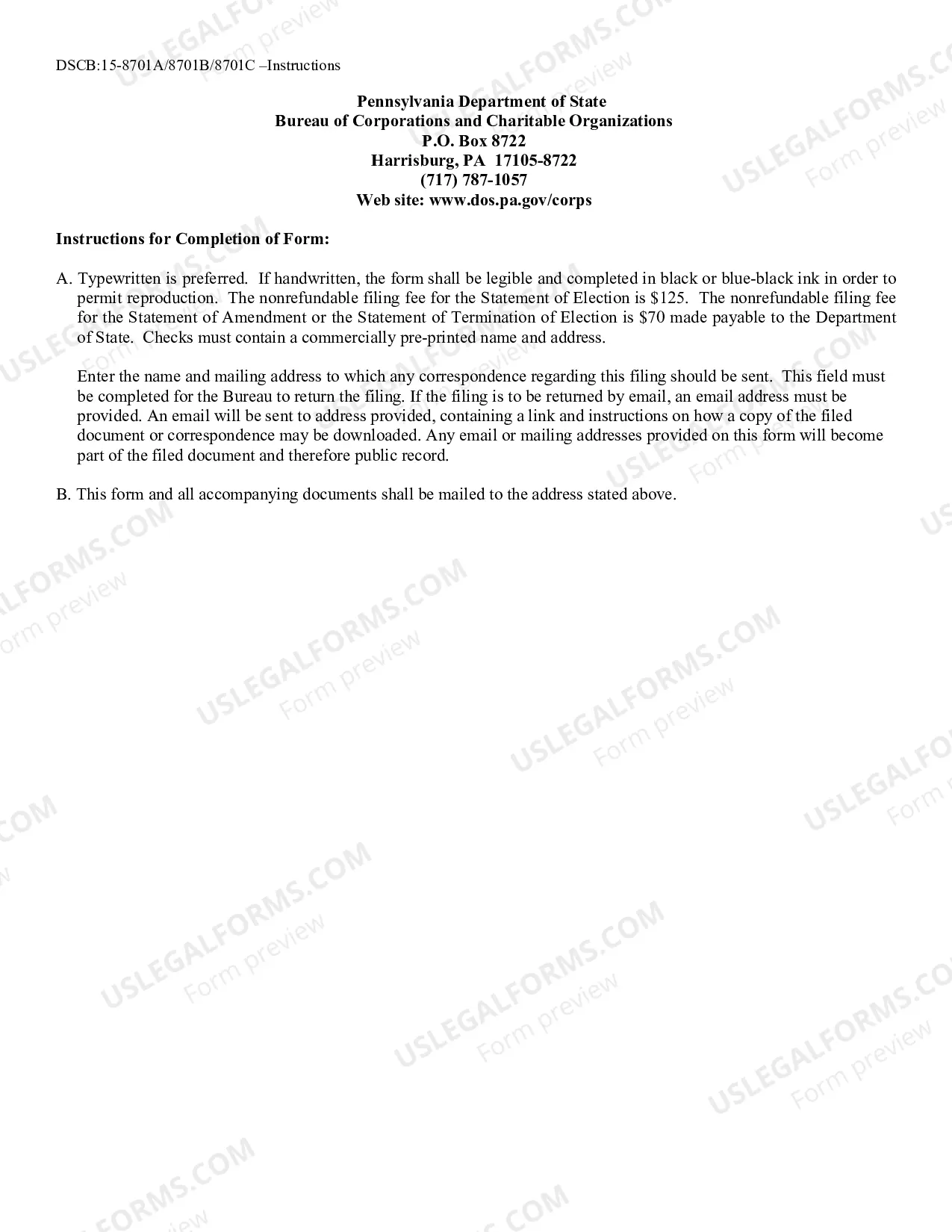 Preview Statement of Election Partnership