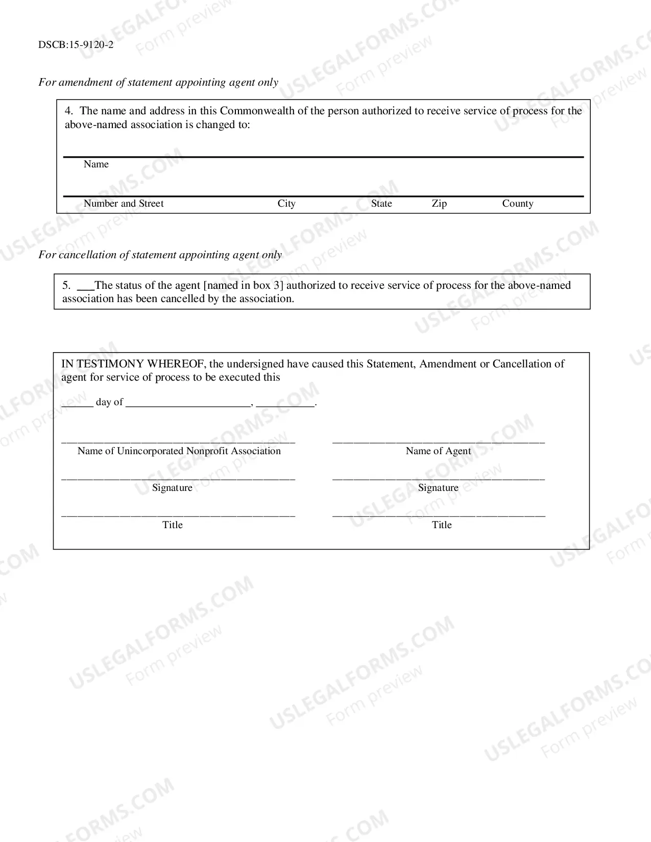 Preview Agent For Service of Process