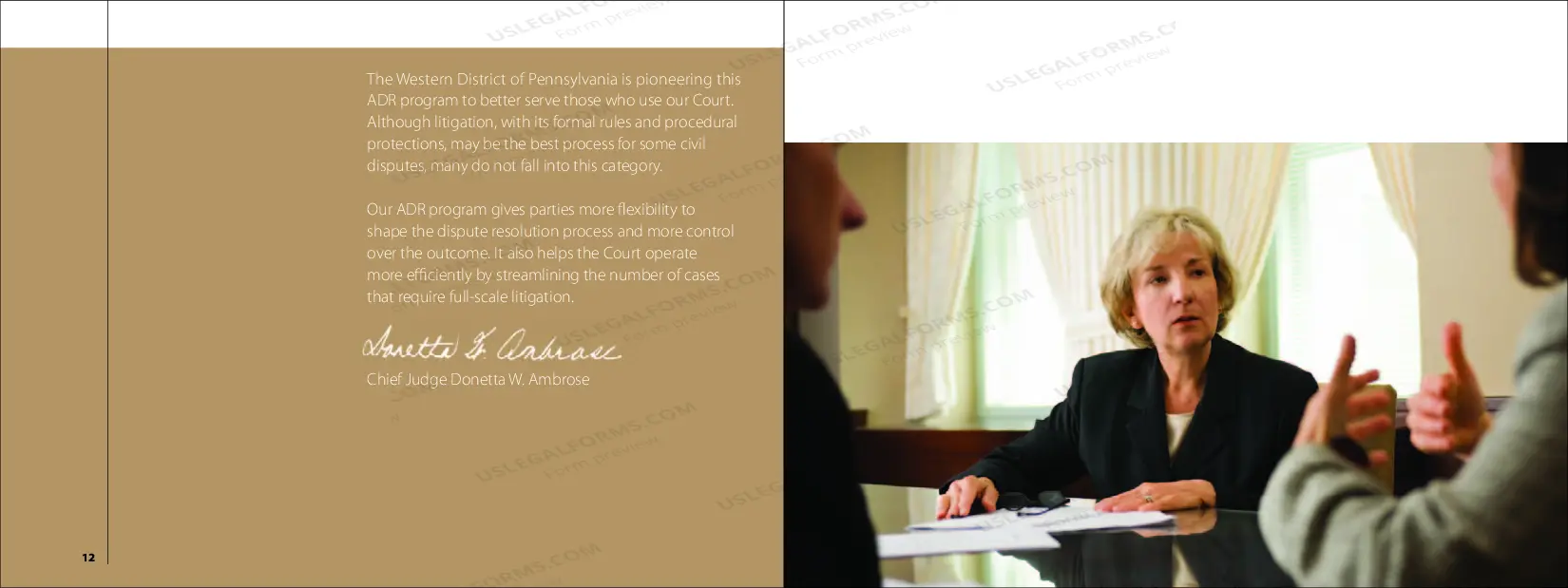 Preview informational Brochure