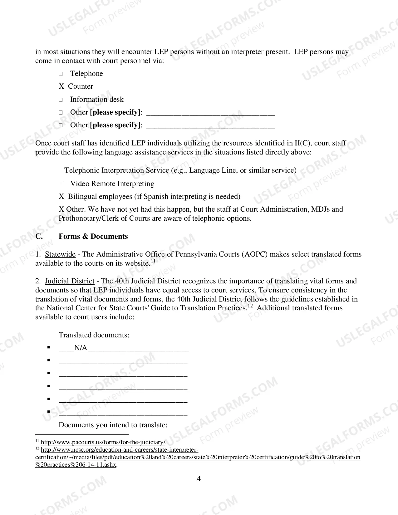 Preview Language Access Plan