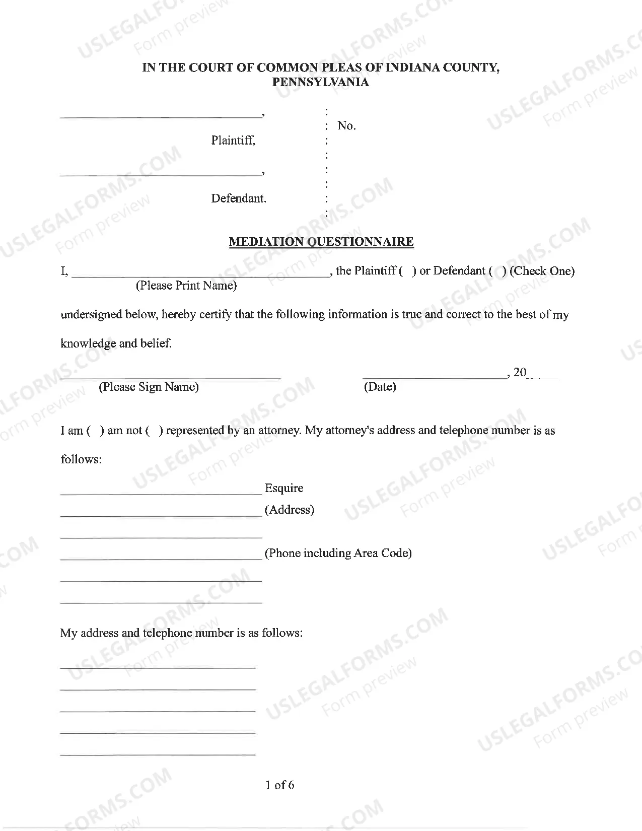 Preview Mediation Questionaire