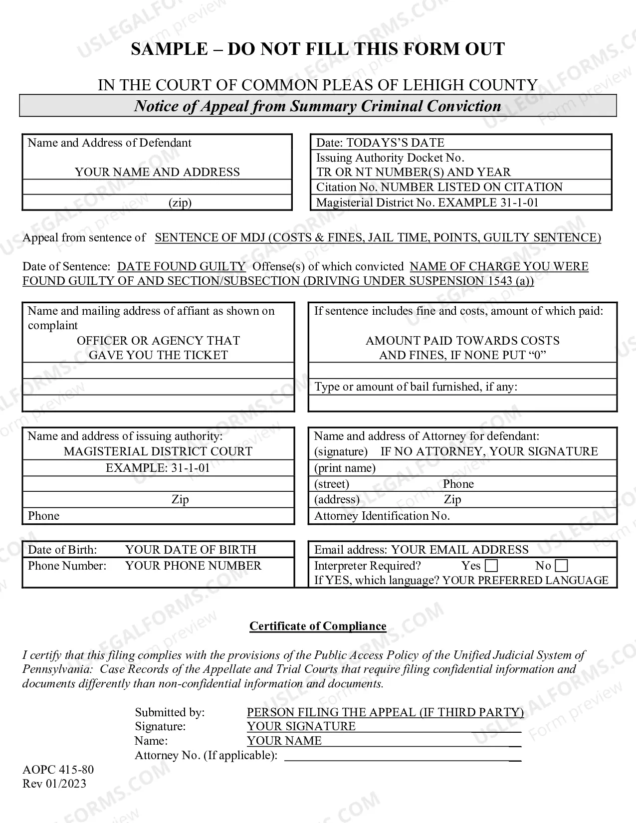 Preview Summary Appeal instructions
