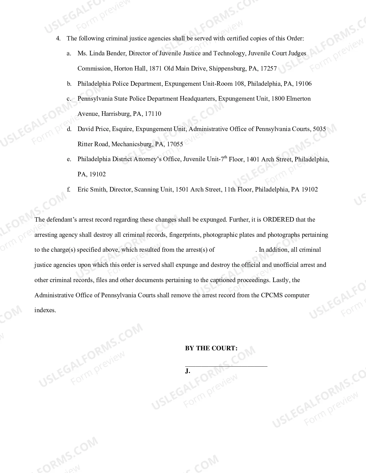 Preview Juvenile Expungement Petition