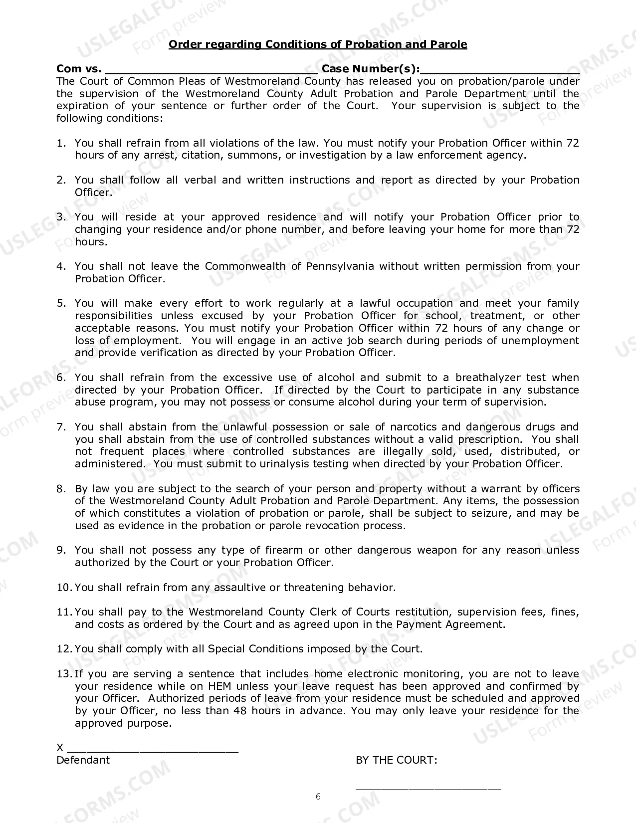 Preview Guilty Plea Petition