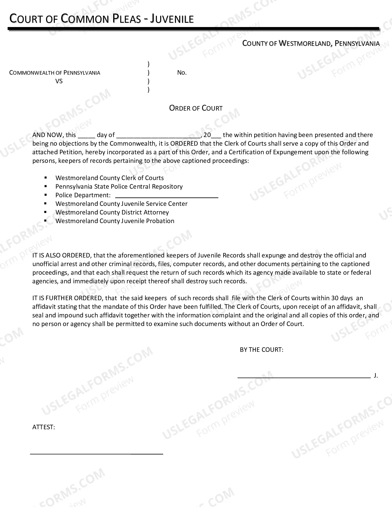 Preview Juvenile Expungement