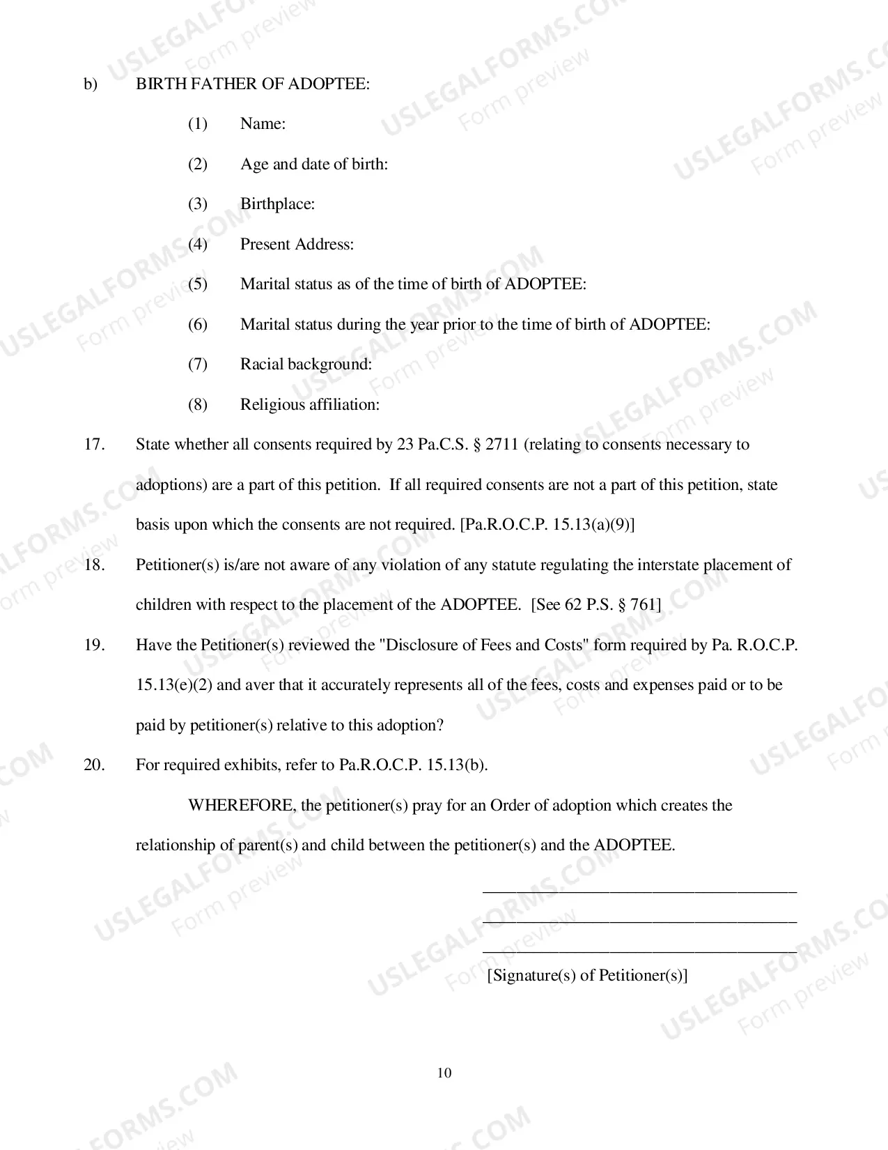 Preview Adoption Petition Packet