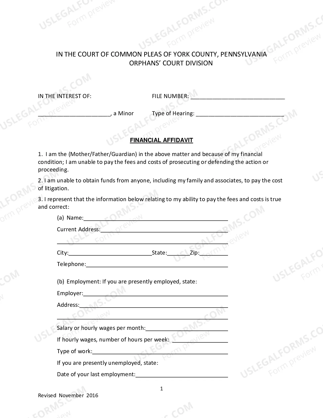 Preview Petition for Court Appointed Counsel and Financial Affidavit form and Information Packet