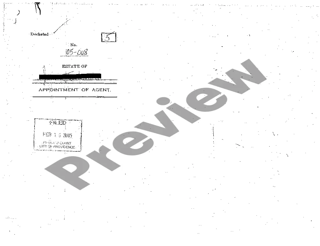 Preview A09 Appointment of Agent