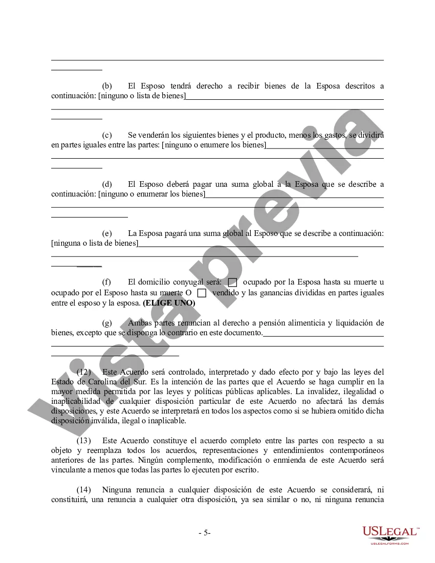 Preview Acuerdo prematrimonial prenupcial de Carolina del Sur con estados financieros