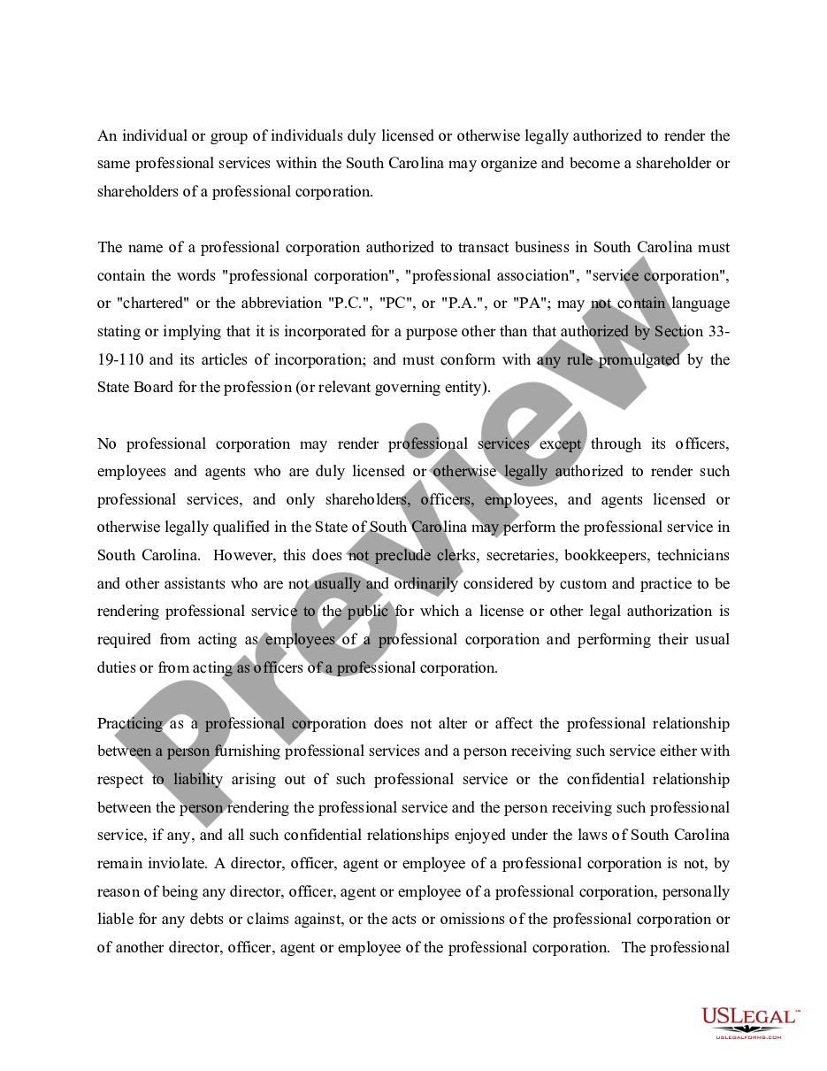 page 1 Professional Corporation Package for South Carolina preview