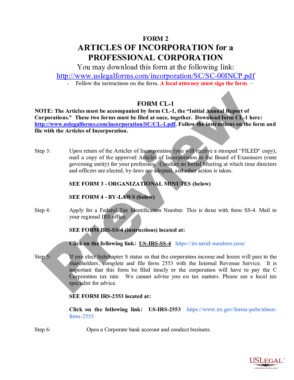page 5 Professional Corporation Package for South Carolina preview