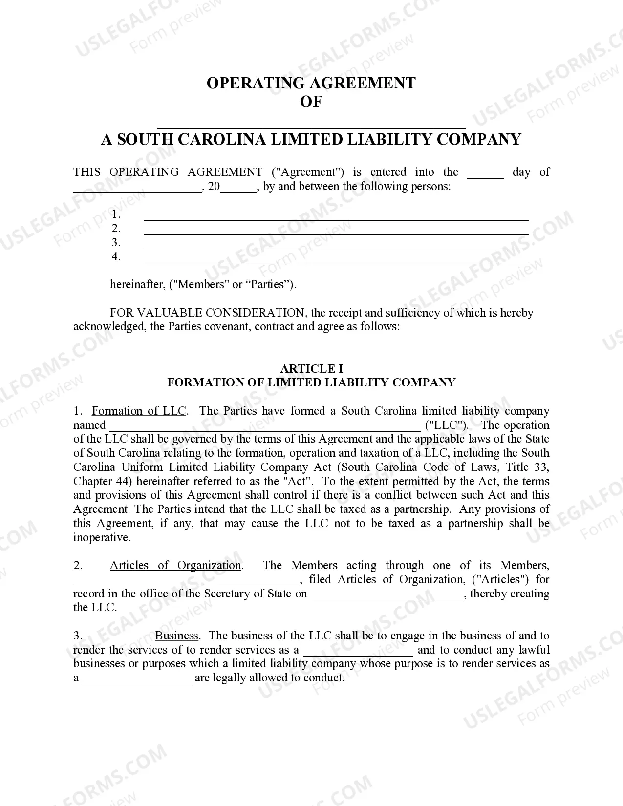 Preview South Carolina Professional Limited Liability Company PLLC Formation Package