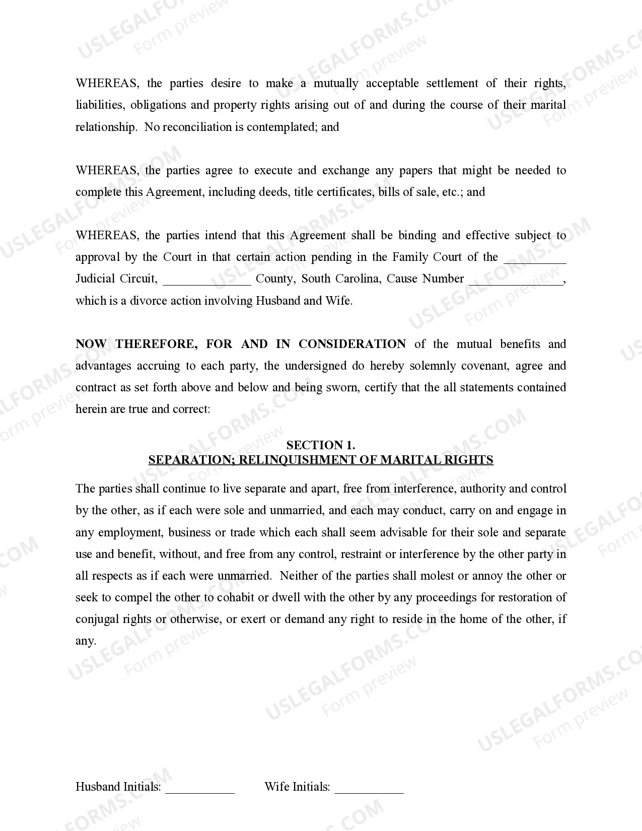 Preview Marital Domestic Separation and Property Settlement Agreement No Children