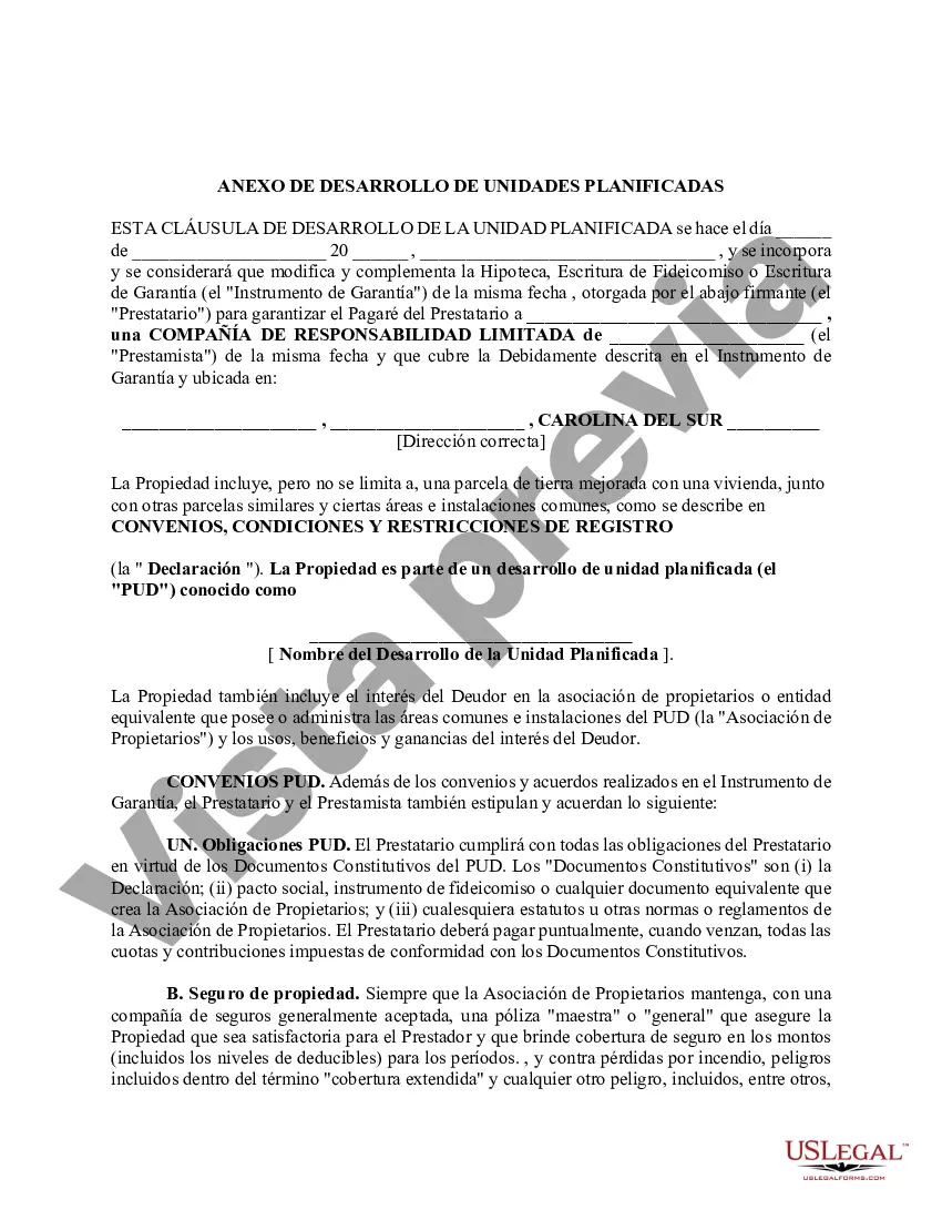 Preview Declaración Jurada Correctiva