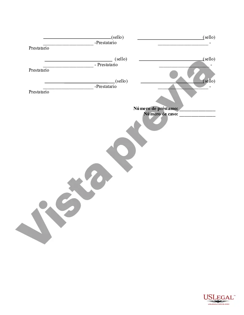 Preview Declaración Jurada Correctiva