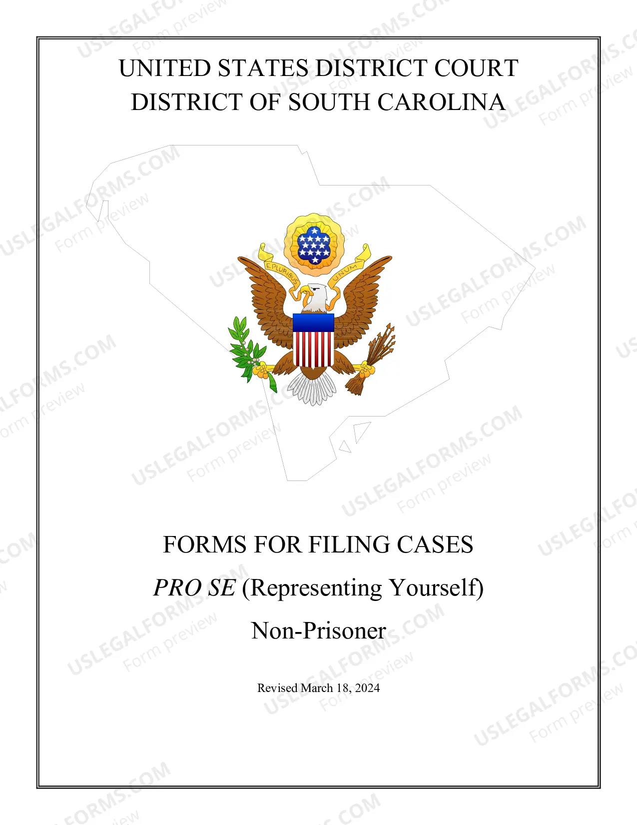 Preview Pro Se (Non Prisoner) Complaint Form