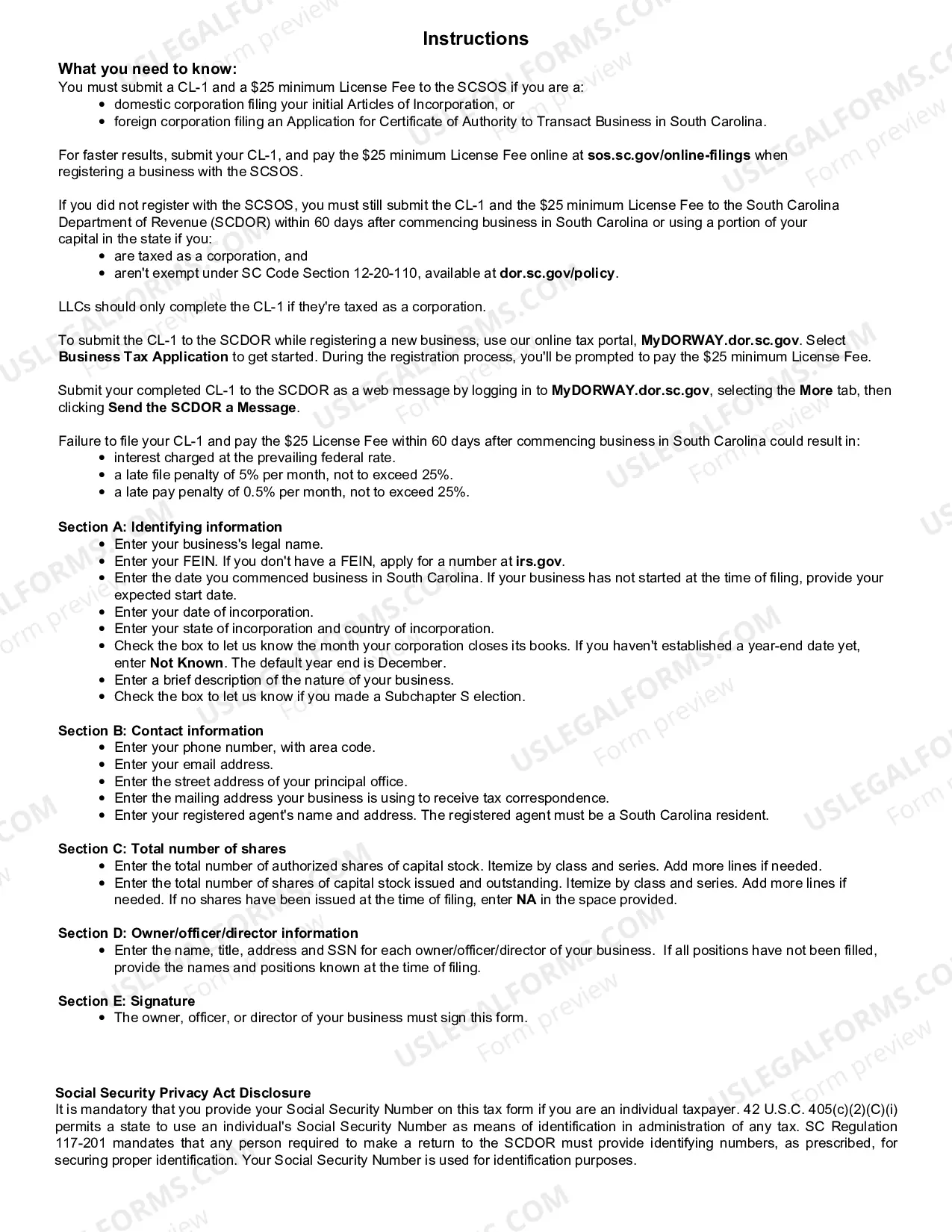 Preview Initial Annual Report of Corporations