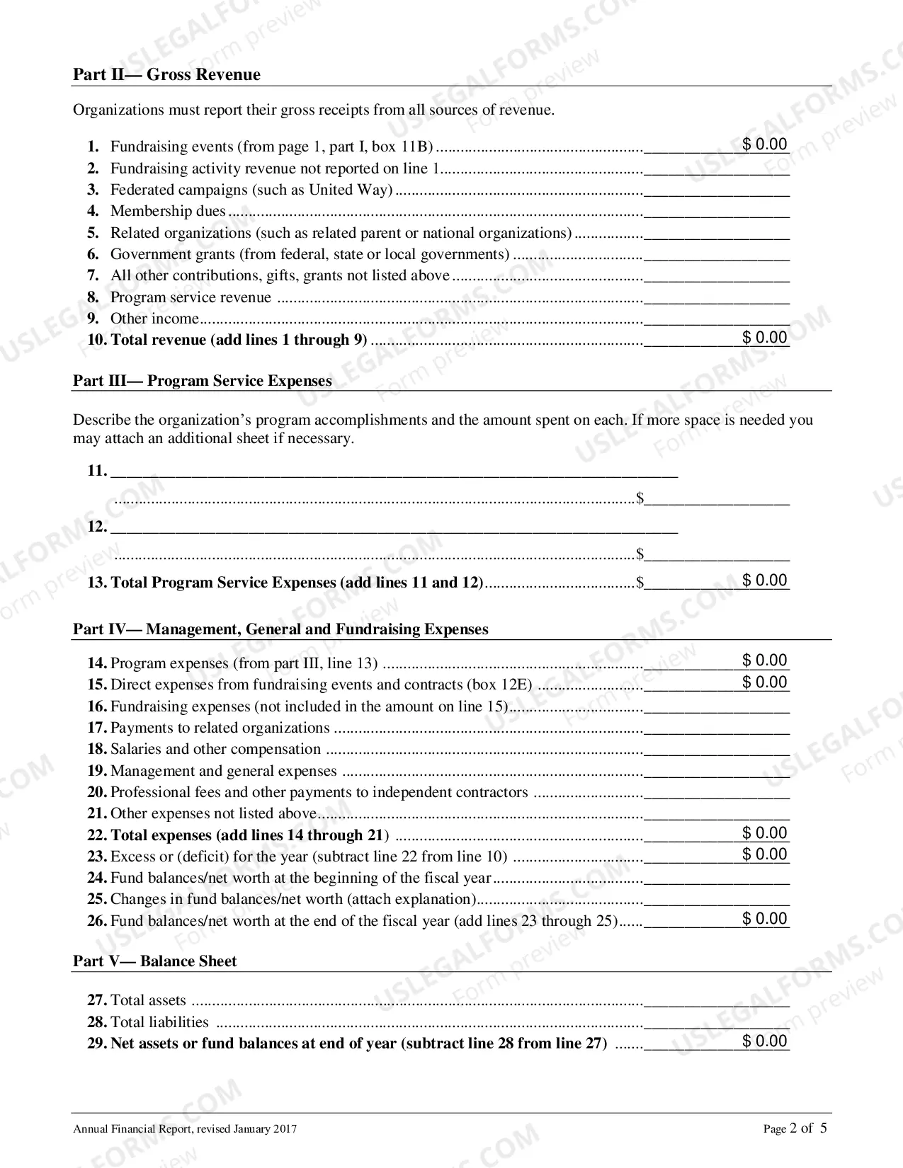 Preview Annual Financial Report