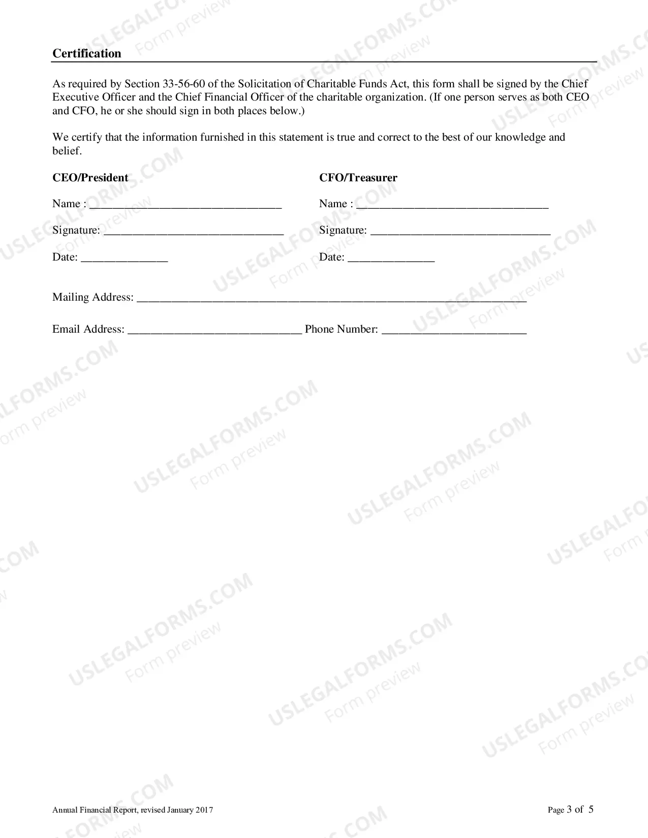 Preview Annual Financial Report