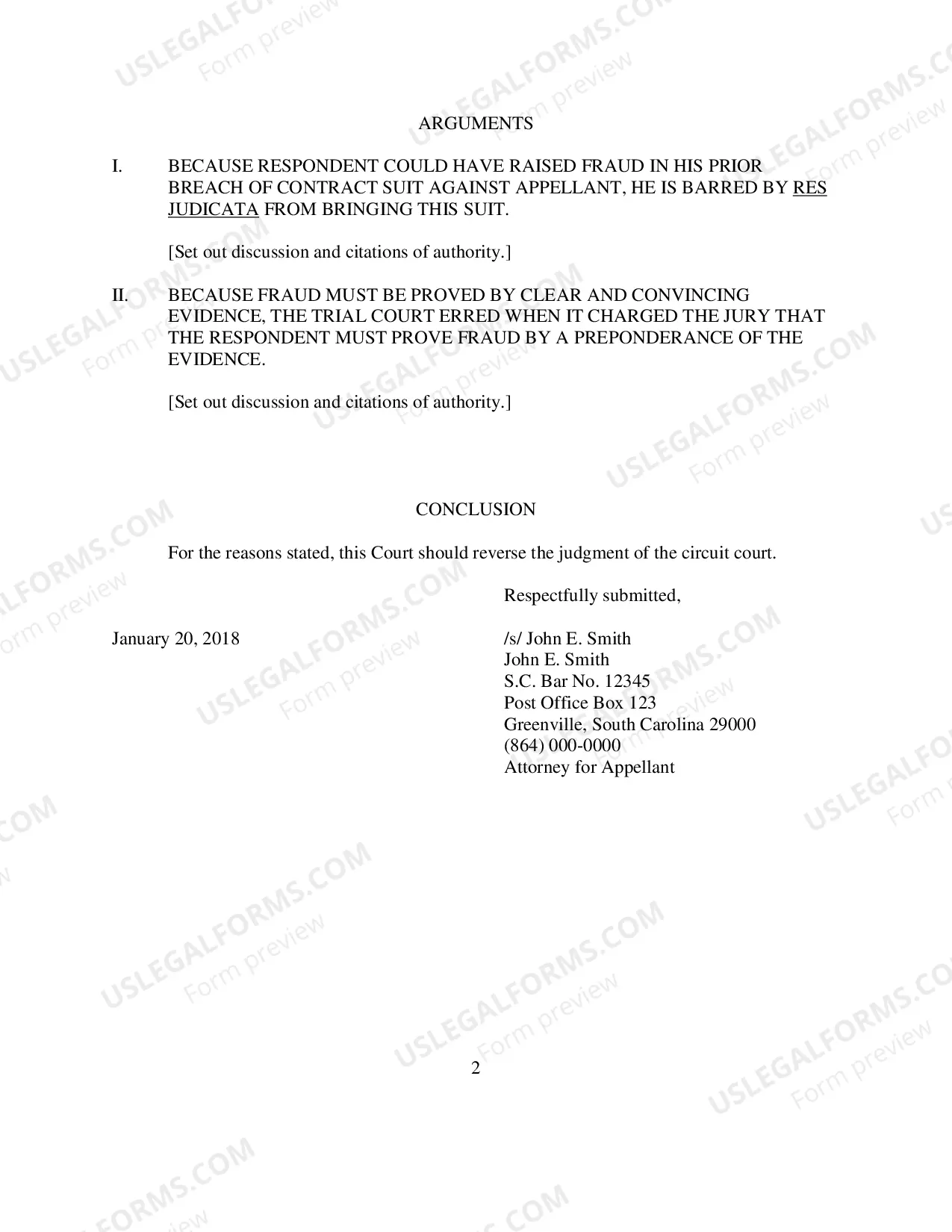 Preview Form 13 - Brief of Appellant