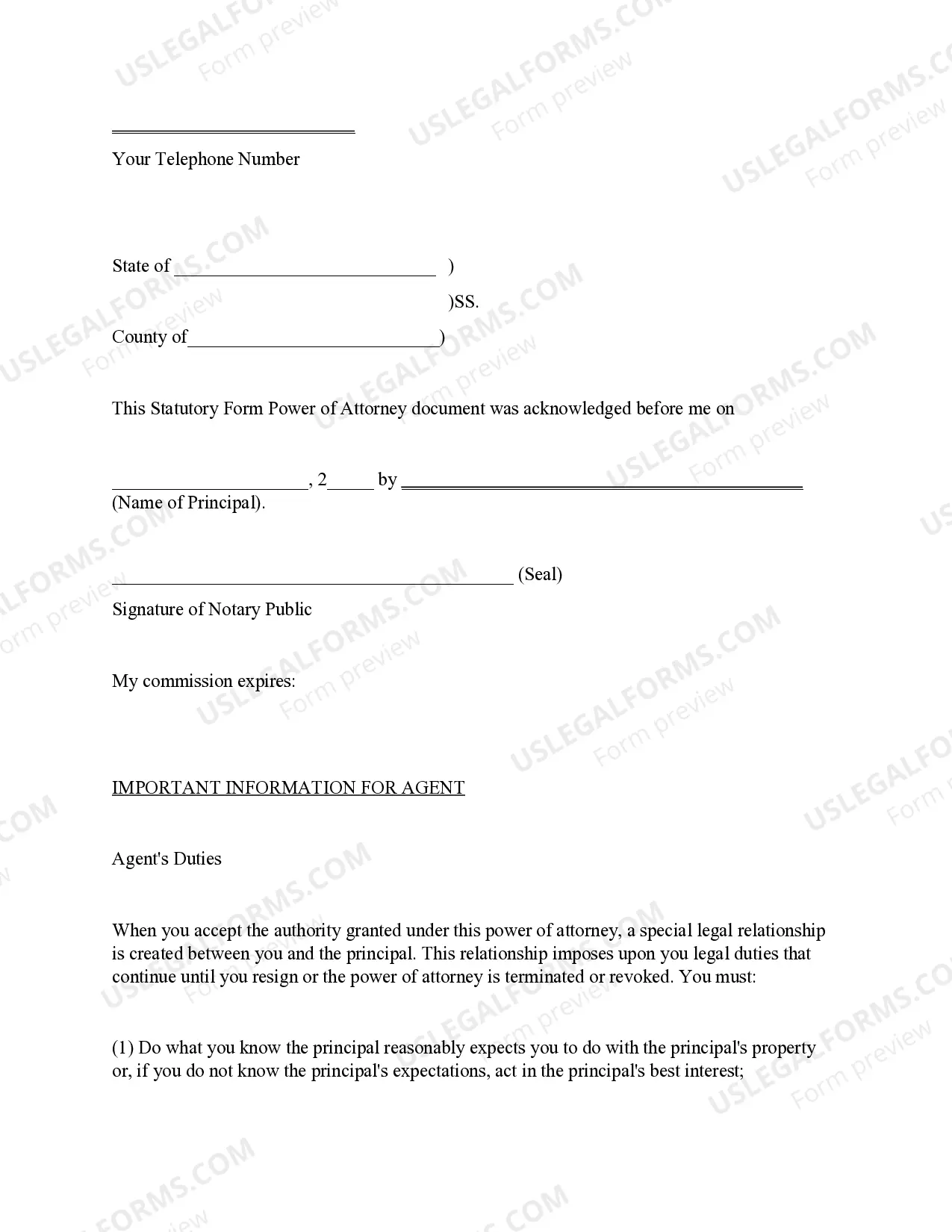 Preview Statutory General Power of Attorney - South Dakota