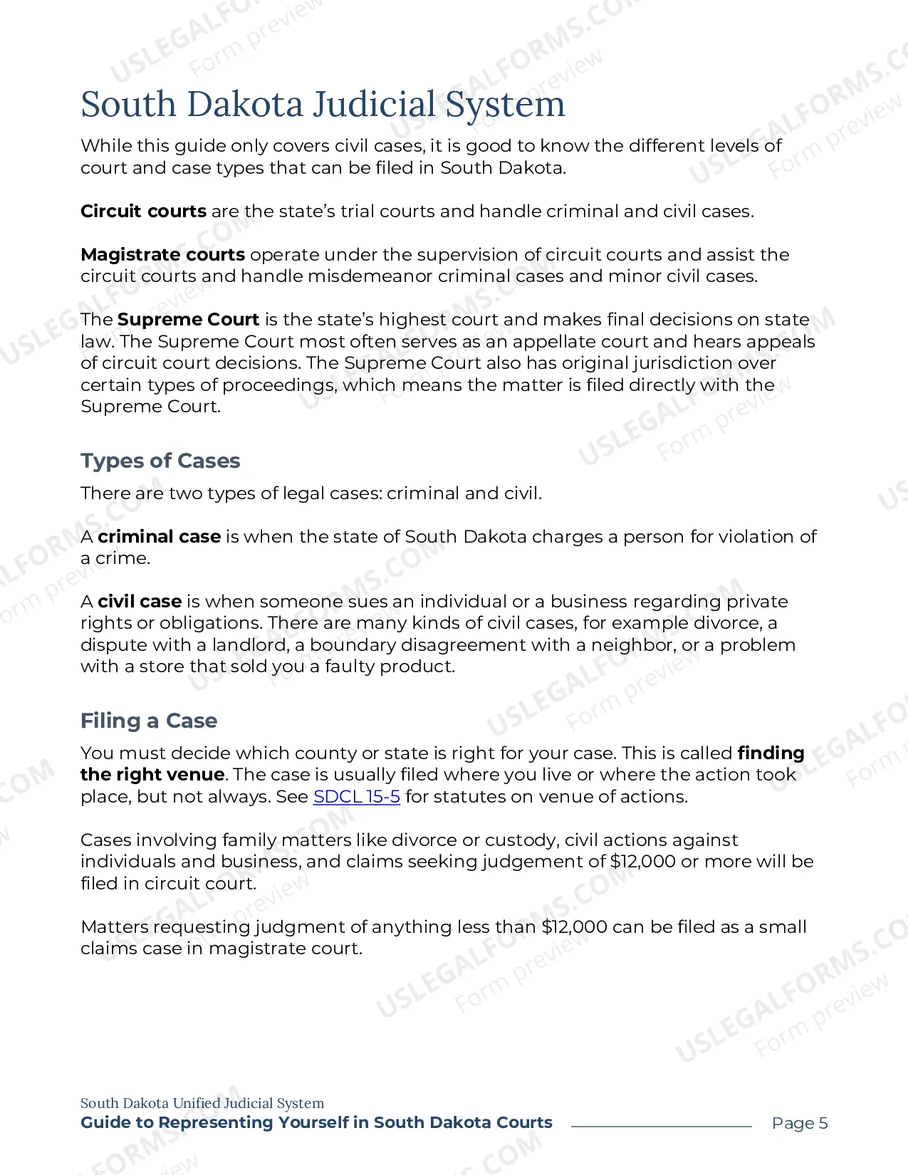 Preview UJS 300 - A Guide for Representing Yourself in SD Courts