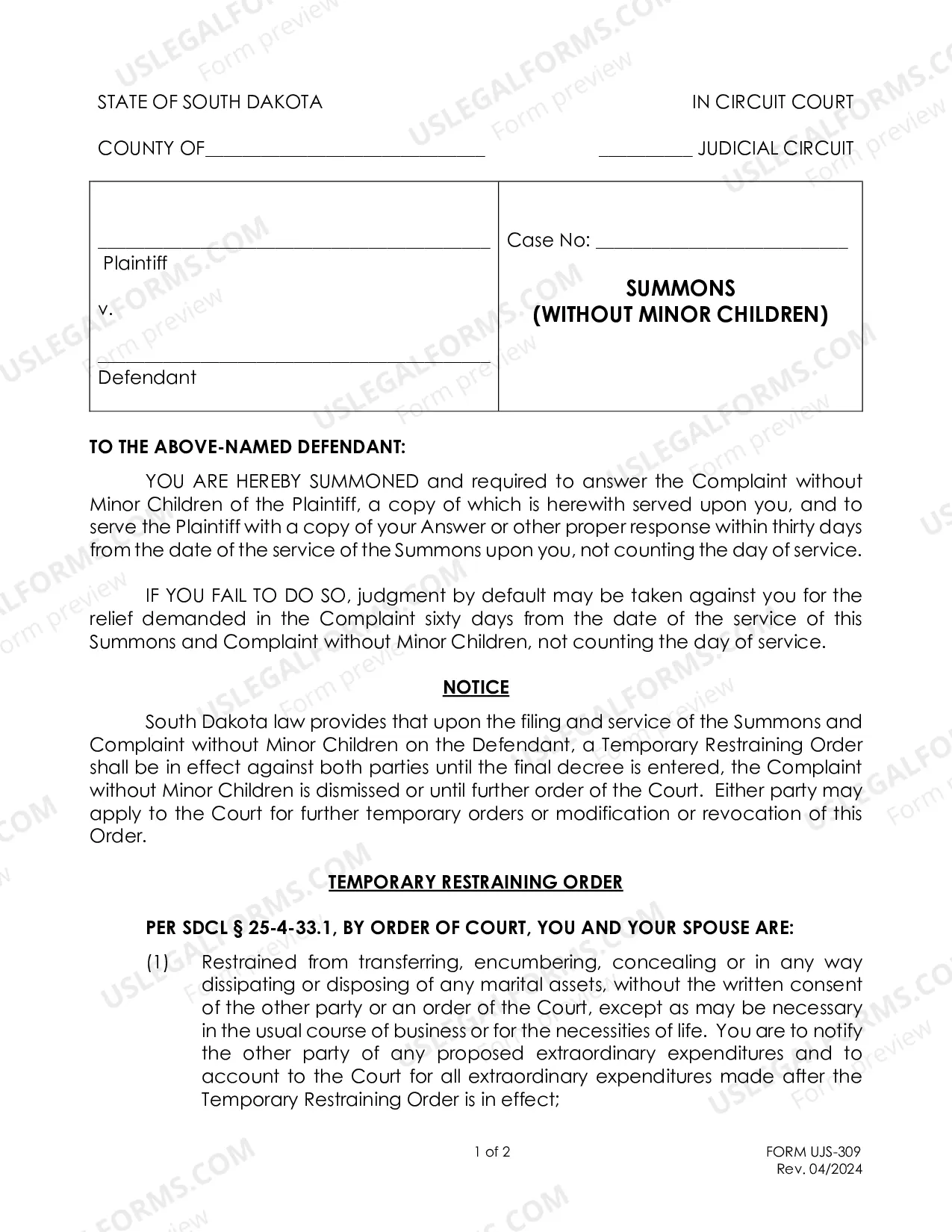 Preview Instructions for Summons and Form (without minor children)
