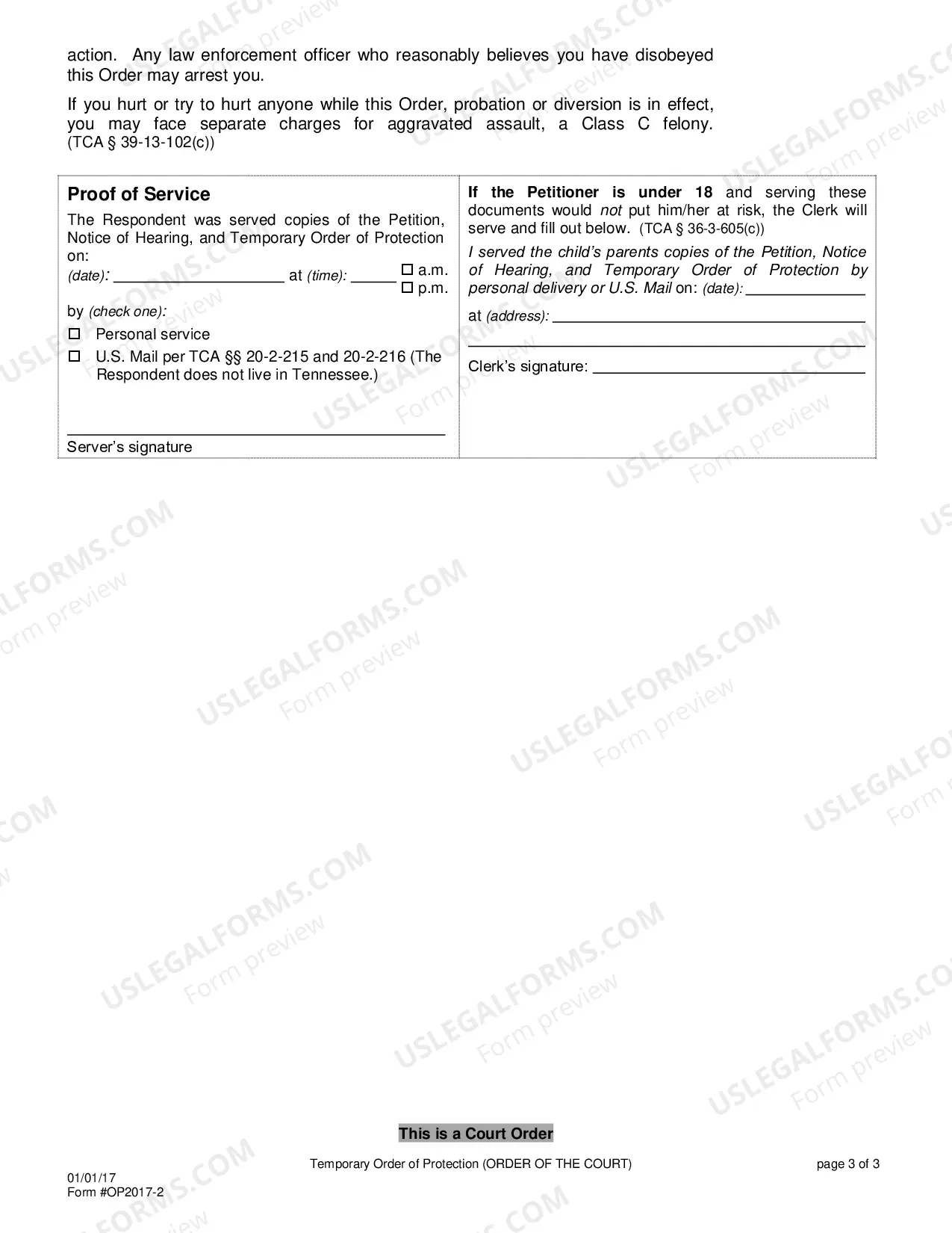 Preview Temporary Order of Protection (Ex Parte Order of Protection)