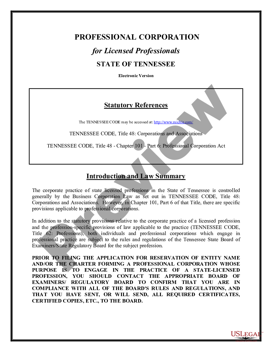 page 1 Professional Corporation Package for Tennessee preview