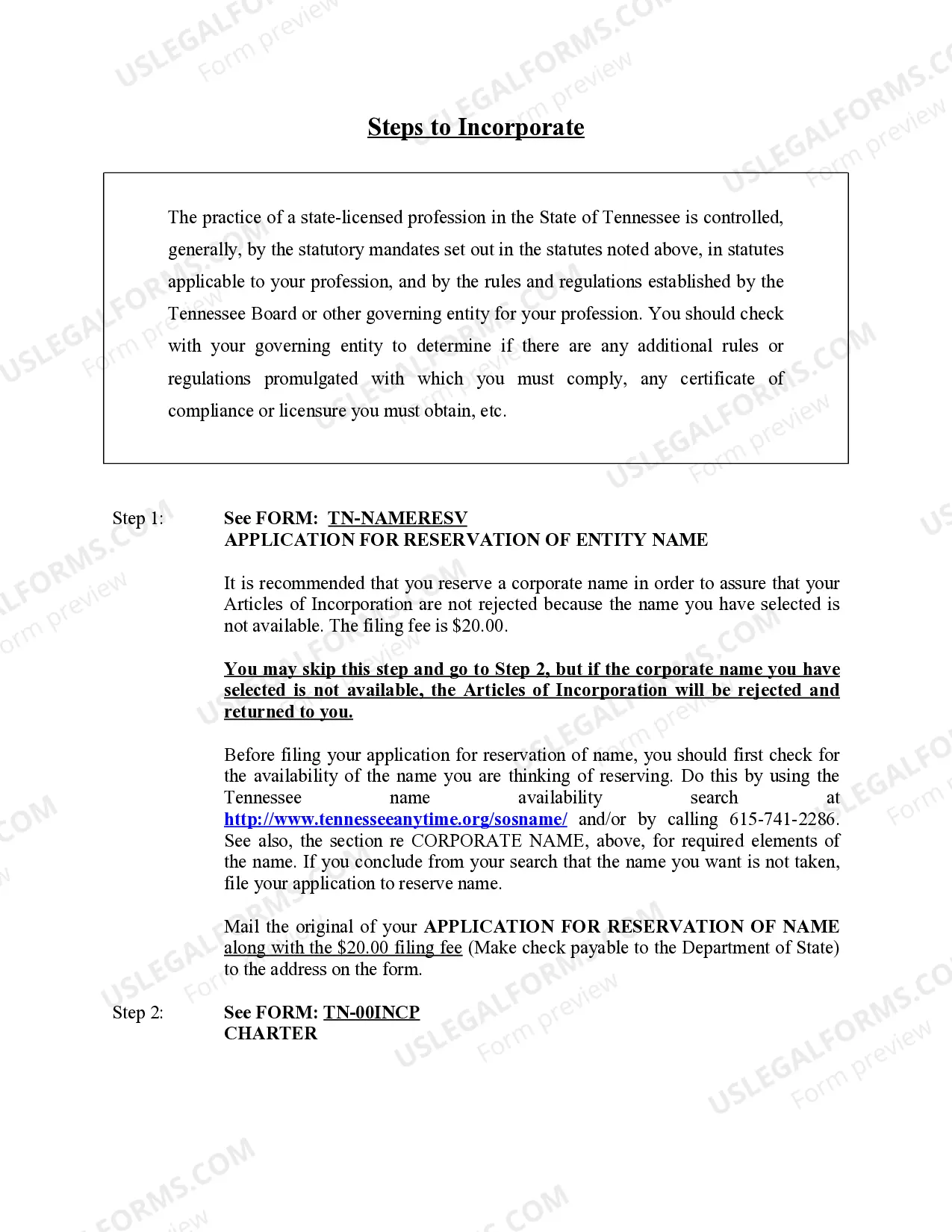 Preview Professional Corporation Package for Tennessee