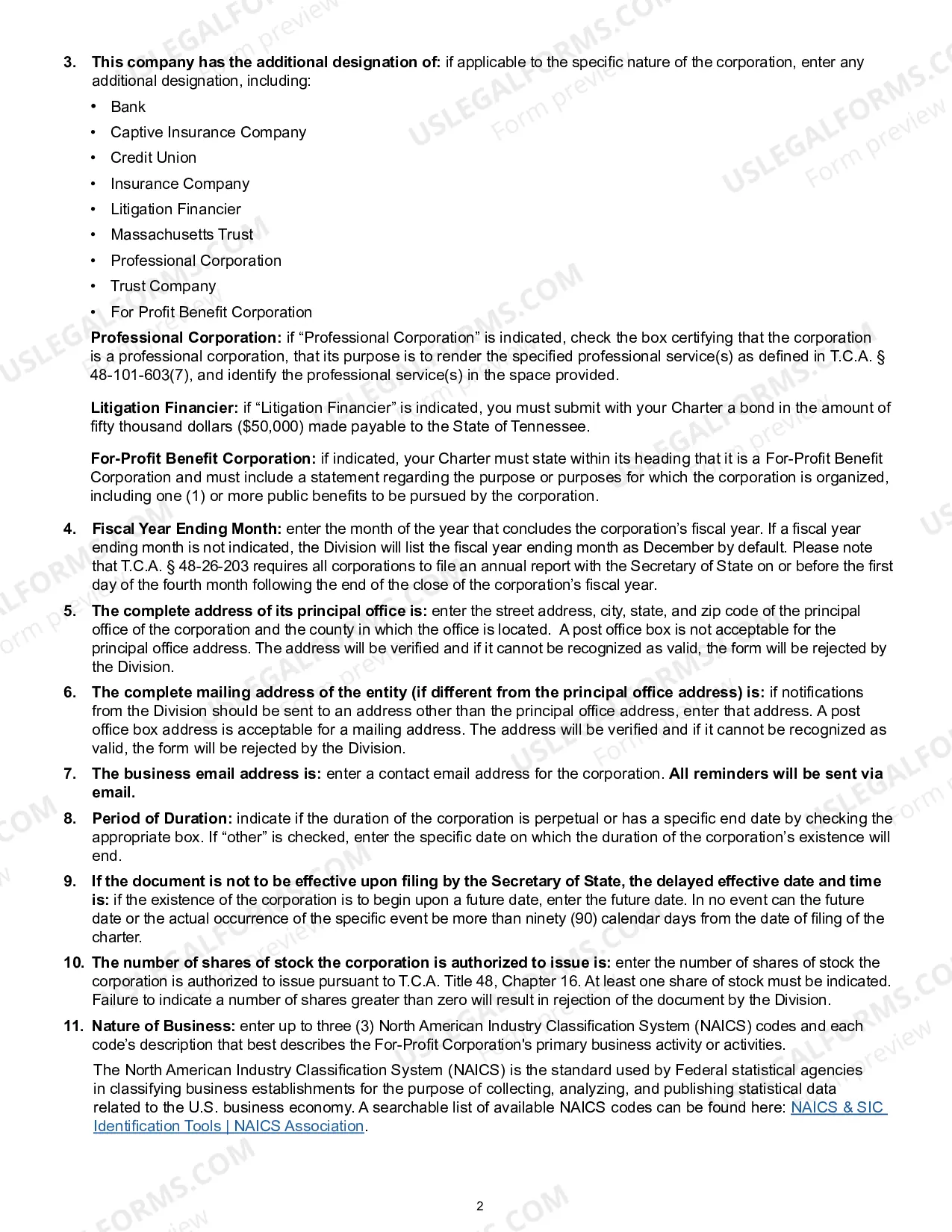 Preview Tennessee Corporate Charter for Professional Corporation