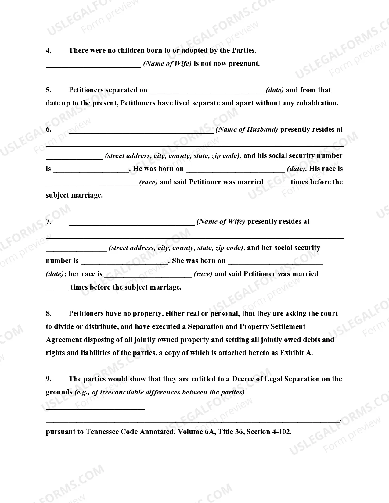 Preview Joint Petition for Legal Separation of Married Couple - No Children and Property Settlement Approved