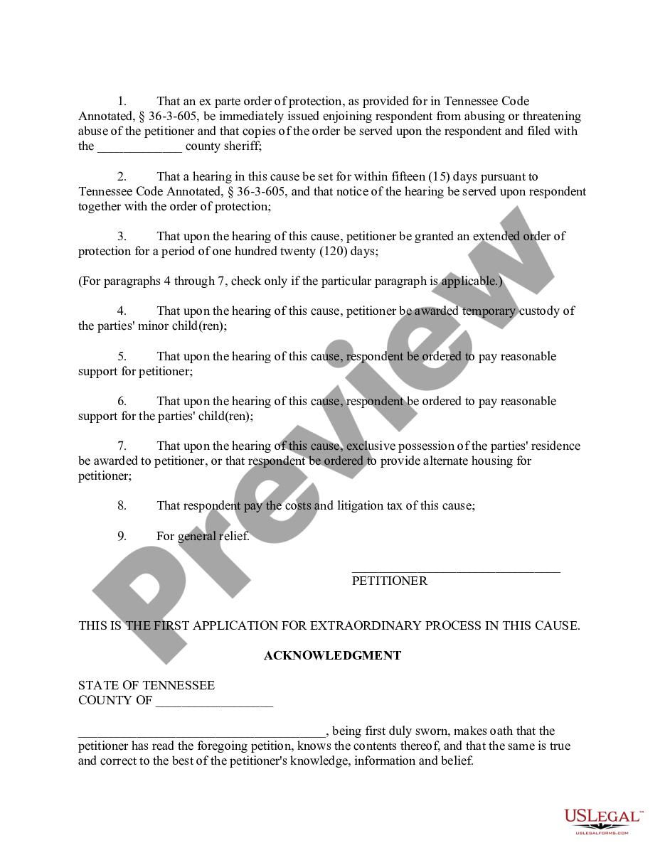 page 2 Petition For Orders of Protection from Domestic Abuse preview