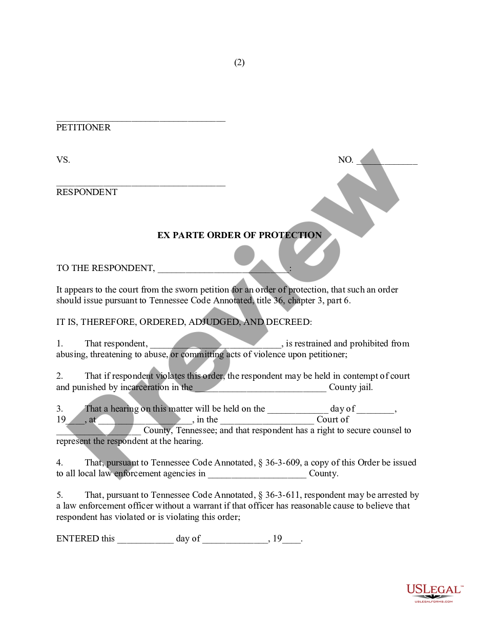 page 4 Petition For Orders of Protection from Domestic Abuse preview