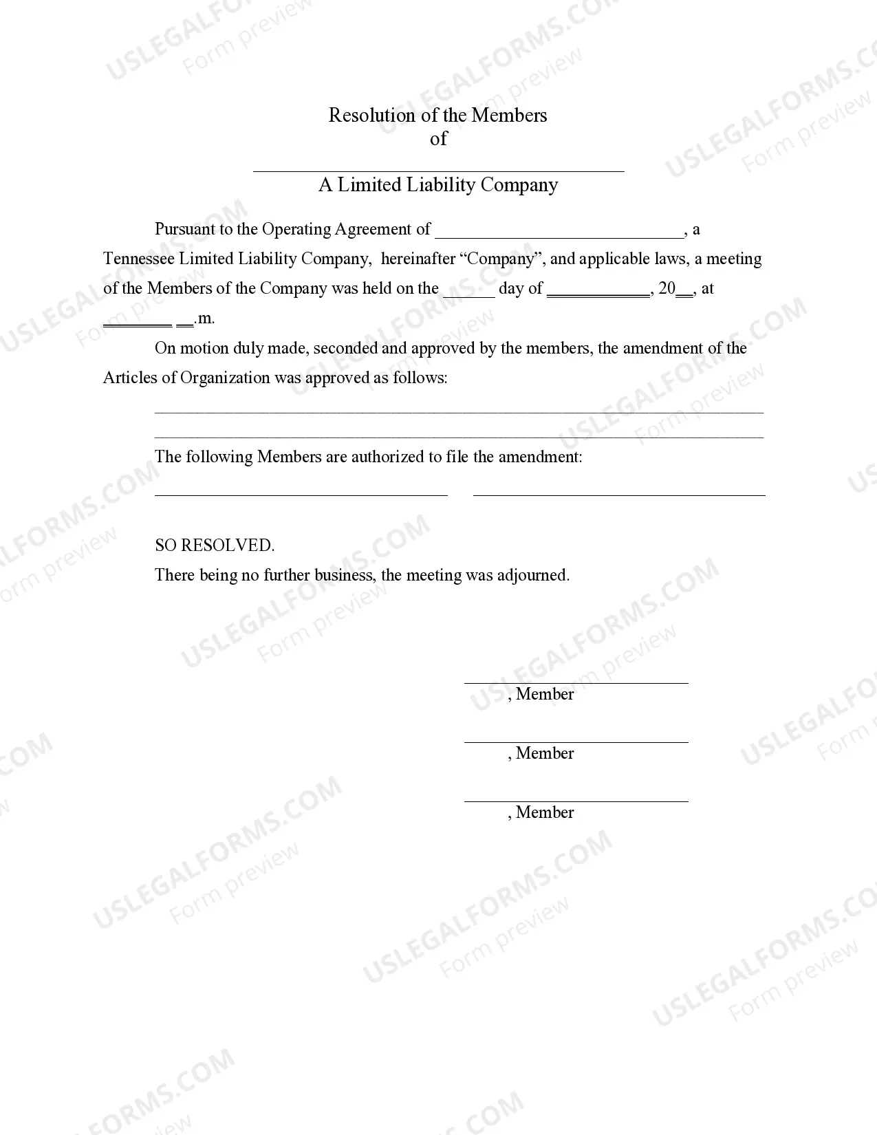 Preview LLC Notices, Resolutions and other Operations Forms Package