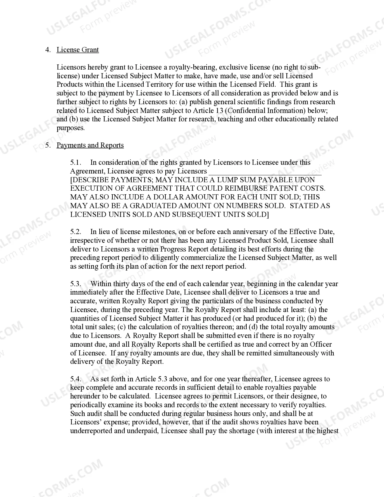 Preview License Agreement