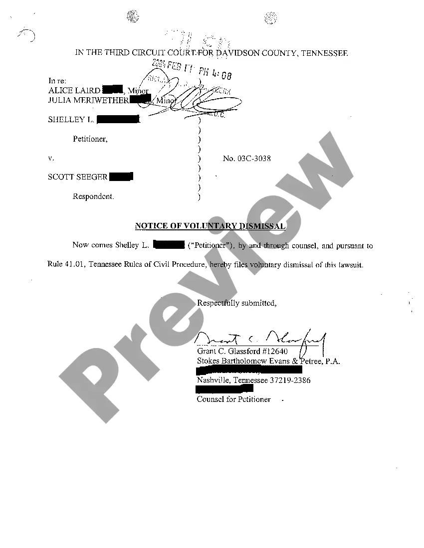 Get Mothers Petition For Name Change For Minor Child Preview Mothers Petition For Name Change For Minor Child