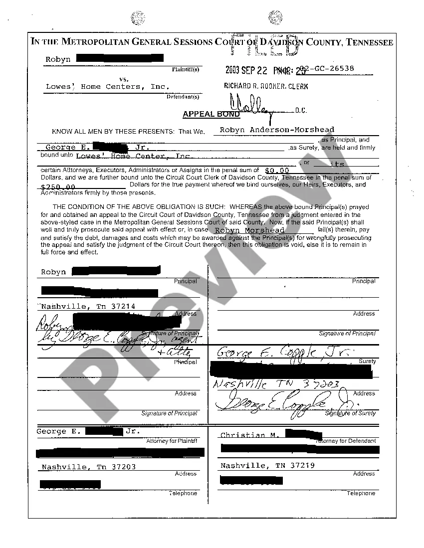 Preview A01 Appeal of Judgment Dismissing the Action