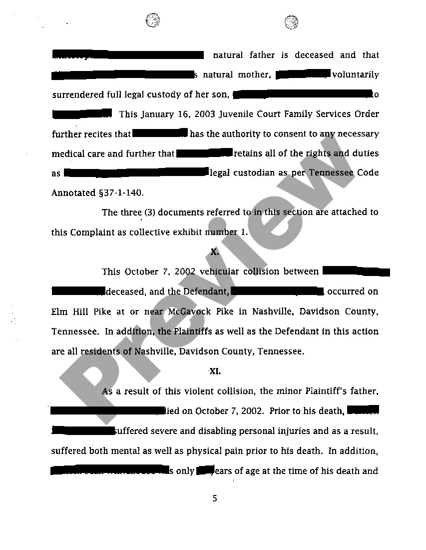 Preview A01 Complaint for Wrongful Death Involving Drunk Driver