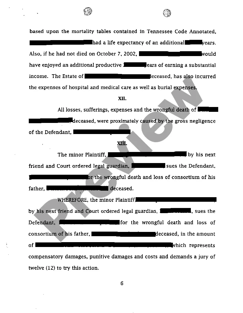 Preview A01 Complaint for Wrongful Death Involving Drunk Driver