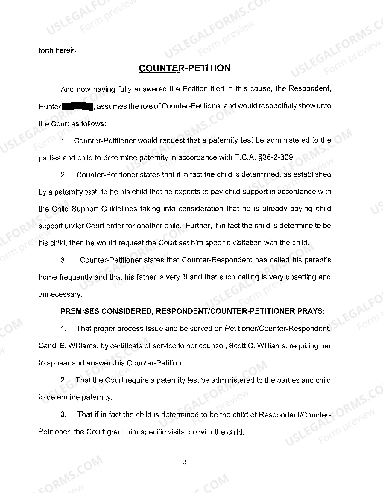 Preview A02 Answer to the Petition to Establish Paternity and to Establish Child Support