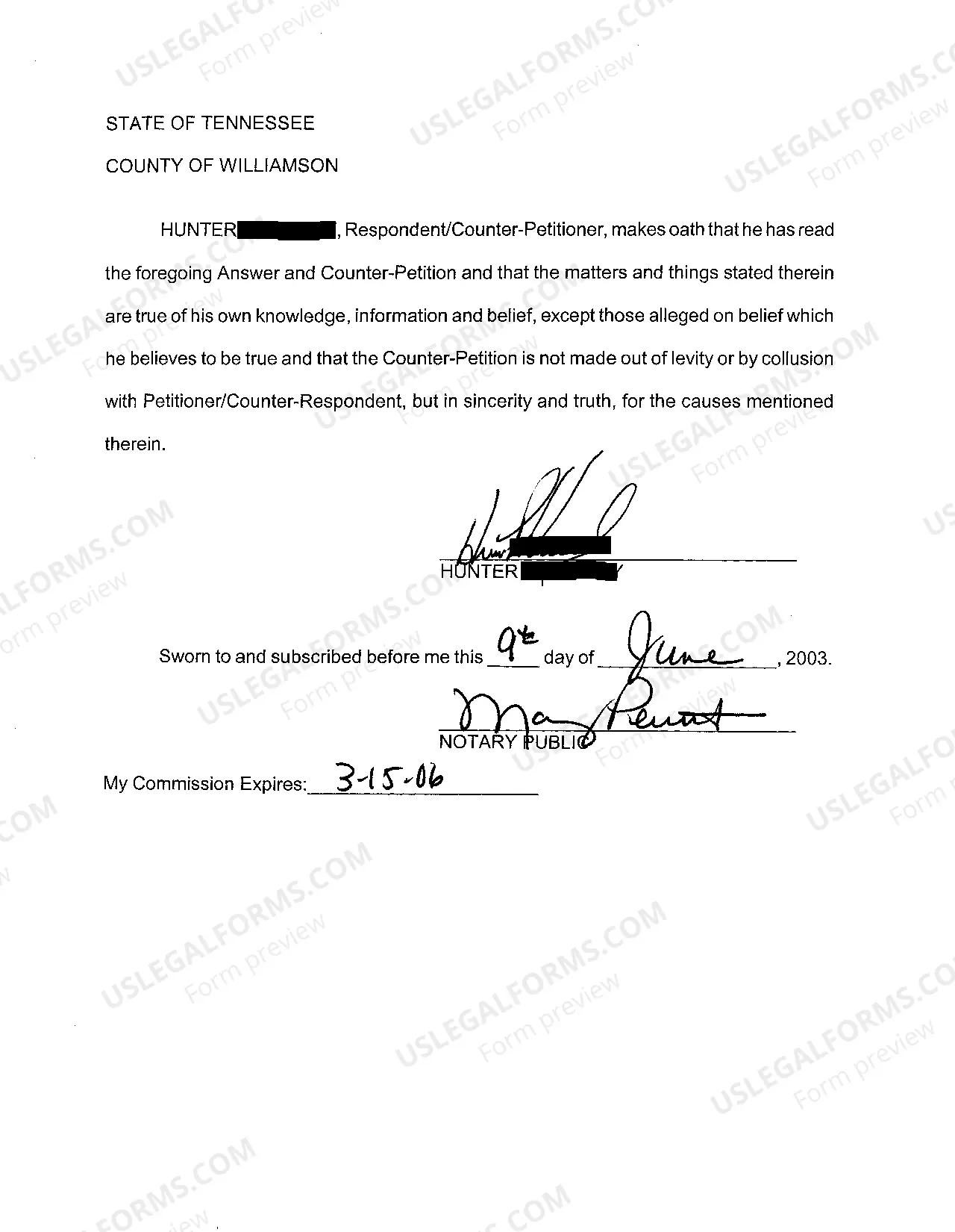 Preview A02 Answer to the Petition to Establish Paternity and to Establish Child Support