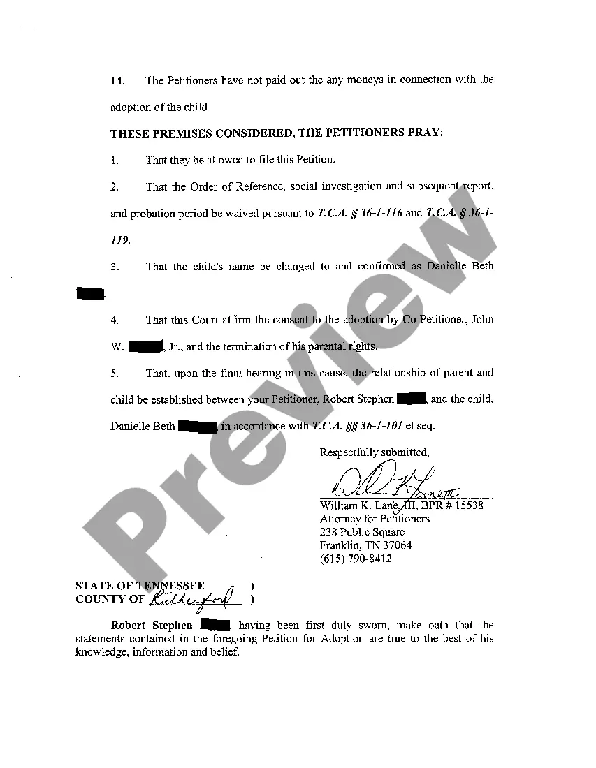 Preview A01 Petition For Adoption