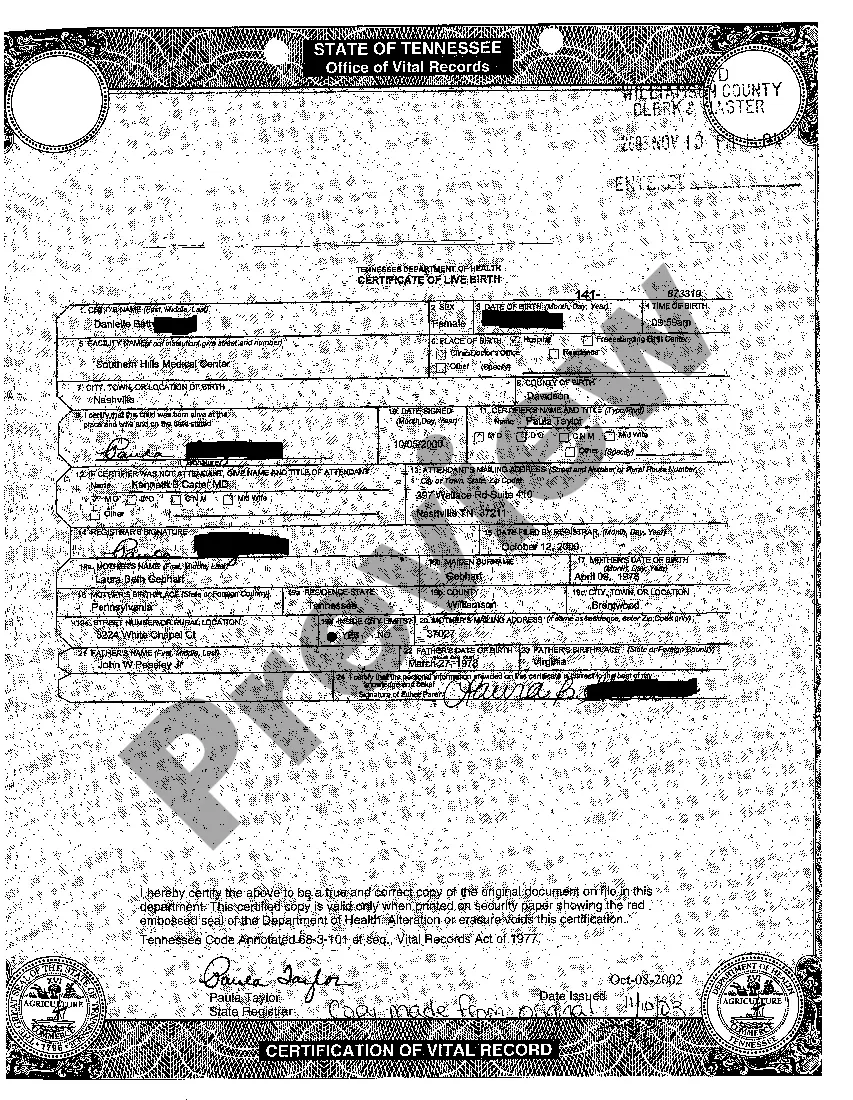 Preview A01 Petition For Adoption