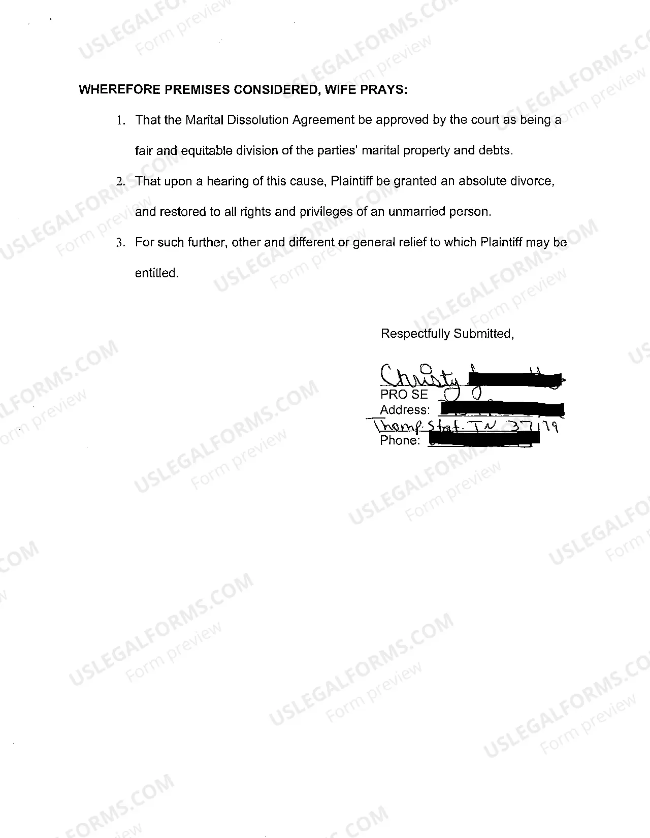 Preview A01 Pro Se Complaint for Divorce Based Upon Irreconcilable Differences Without Children