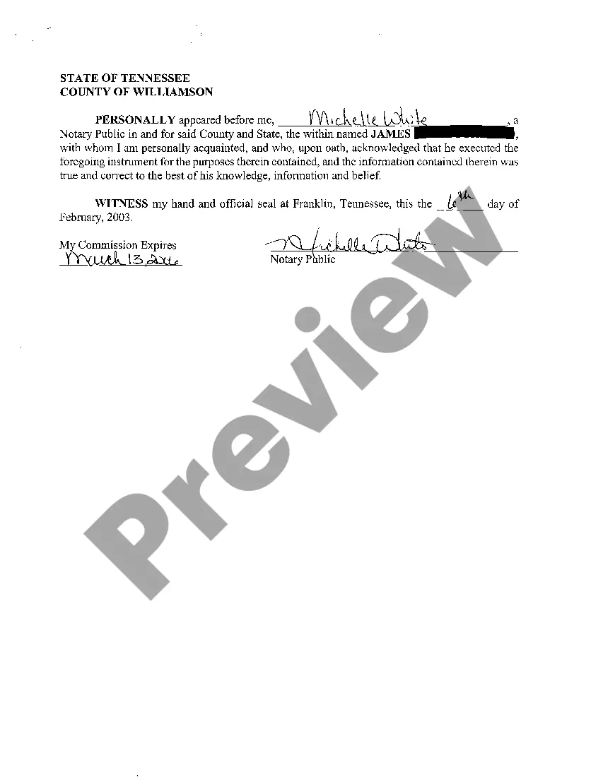 Preview A10 Conservator Affidavit with Accounting