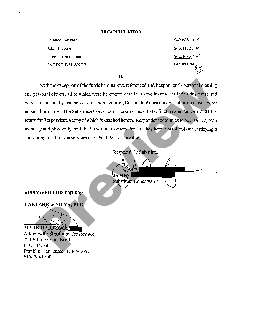 Preview A10 Conservator Affidavit with Accounting