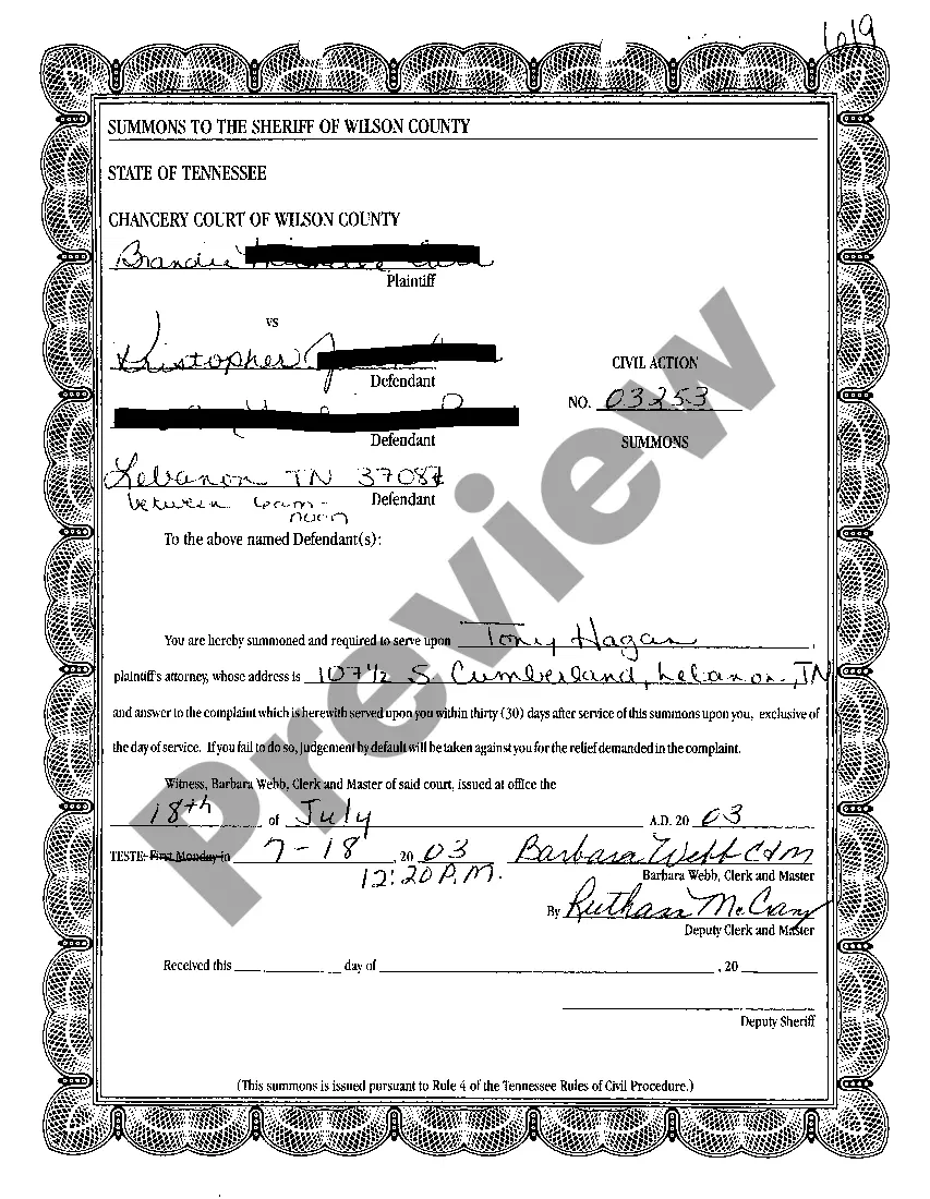 Preview A01 Petition For Abandonment of Biological Father's Rights