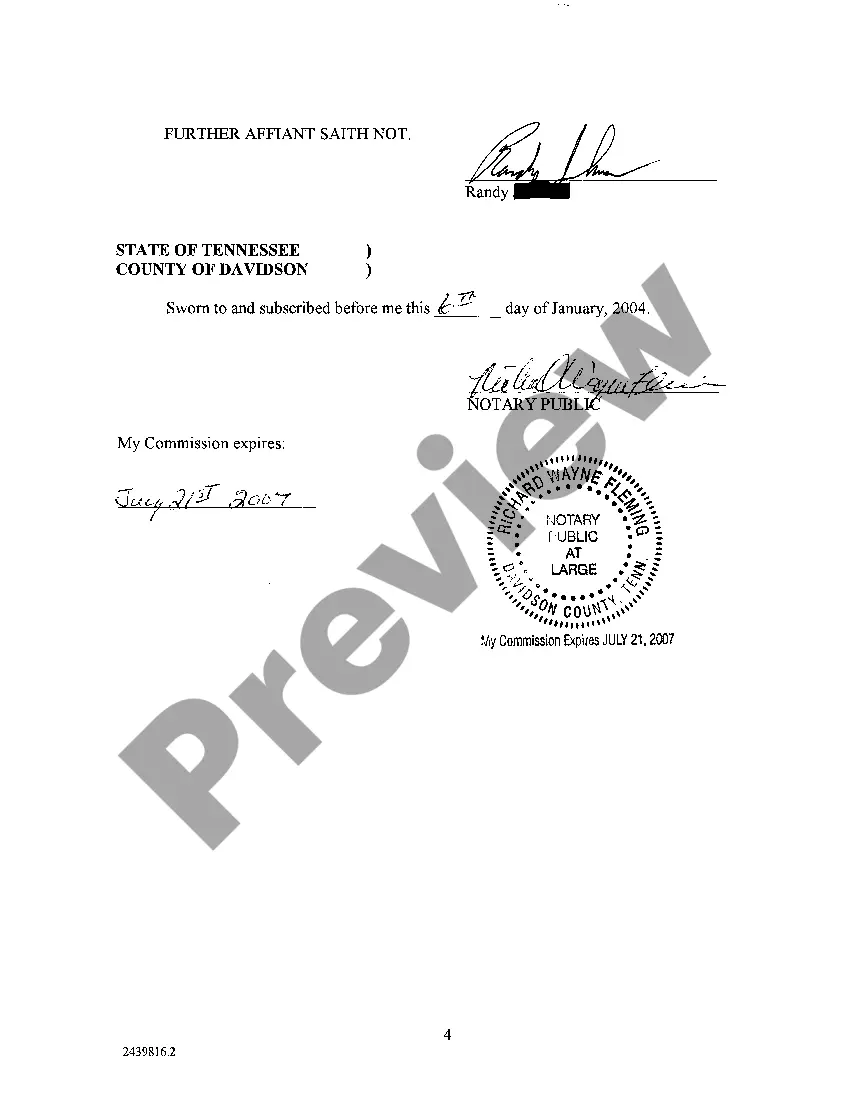 Preview A03 Affidavit of plaintiff's consultant